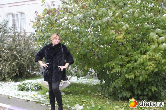 5 ����: ���