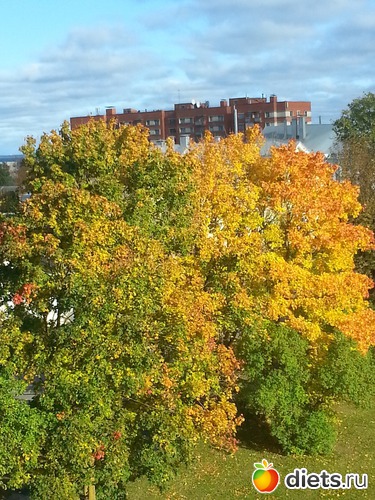 1 ����: ����