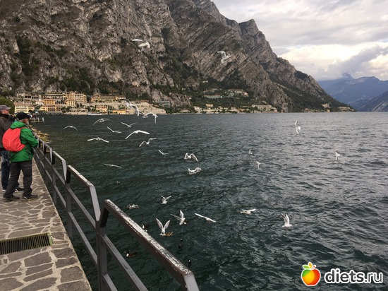 13 ����: ������