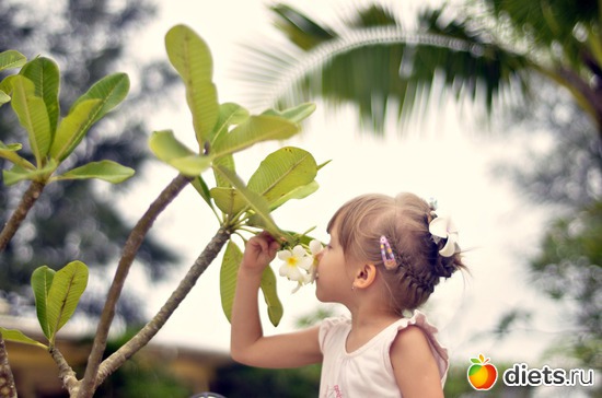 Красота в деталях. Магнолии.