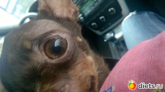 1 ����: ����� ���� �����