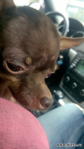 2 ����: ����� ���� �����