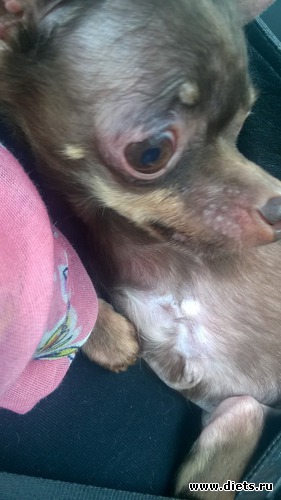 3 ����: ����� ���� �����