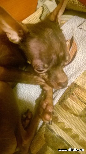 4 ����: ����� ���� �����