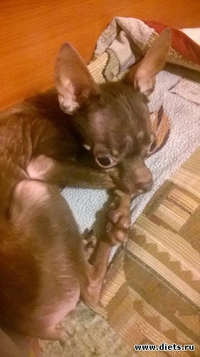 5 ����: ����� ���� �����