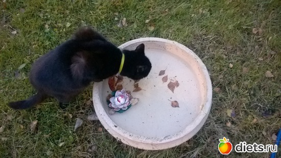 3 ����: ����� �� ������� ������