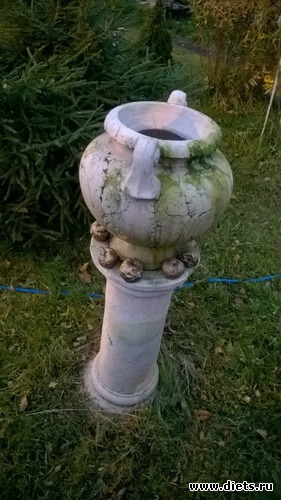 9 ����: ����� �� ������� ������