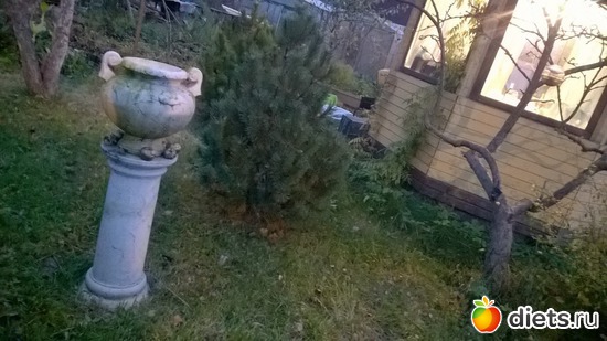 10 ����: ����� �� ������� ������