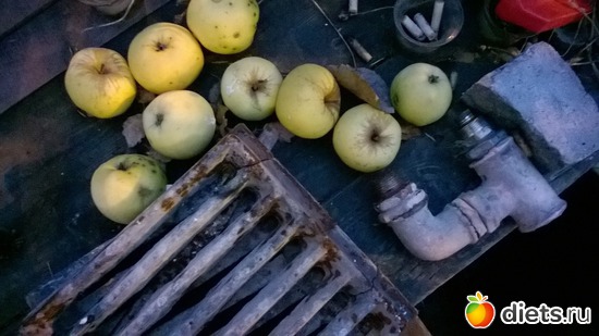 11 ����: ����� �� ������� ������