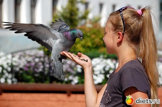 "Скушай птичка, не стыдись"