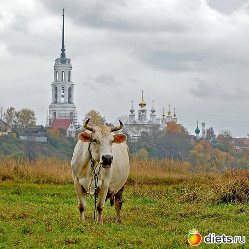 "На лугу пасутся ко.."