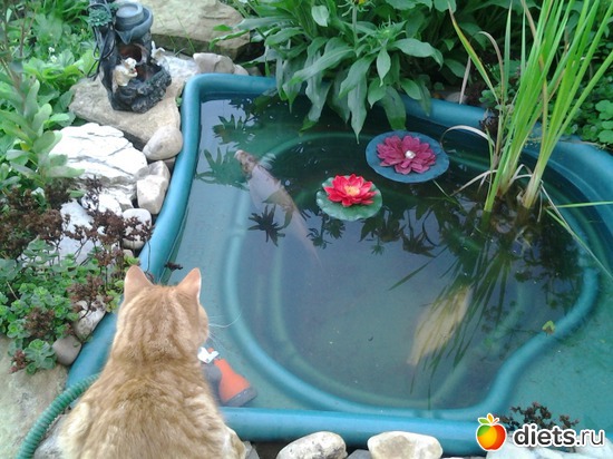 С какой начать?