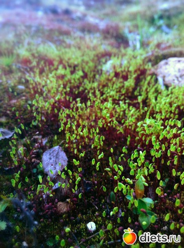 вне времен года