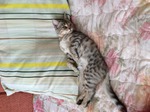 1 денёчек пути к стройному новому году