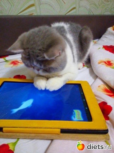 Ловись рыбка большая и маленькая