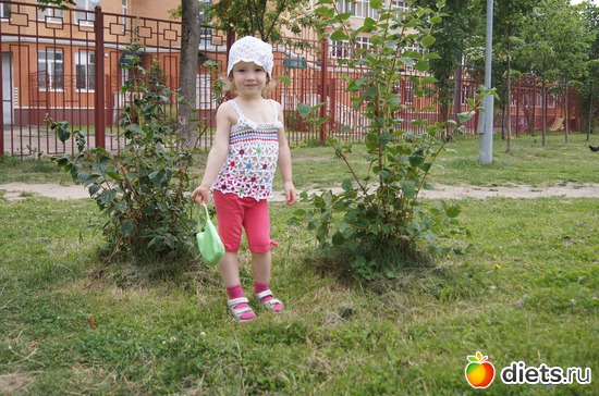 144 ����: ��� ��������� �2 - �������