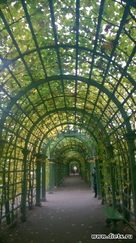 2 ����: ������� ��������