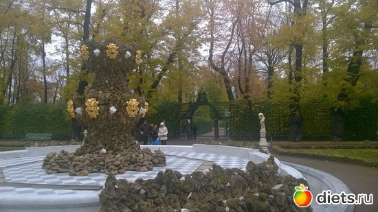 5 ����: ������� ��������