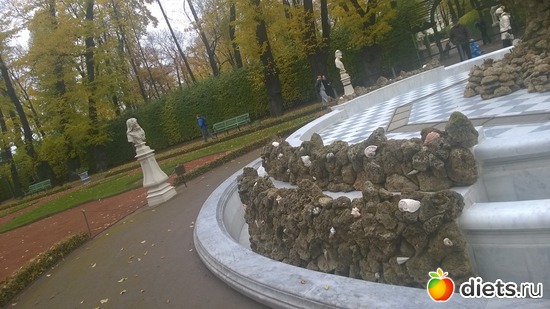 6 ����: ������� ��������