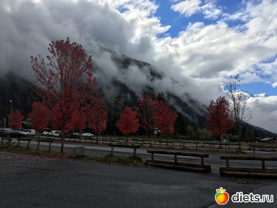 ��� ����� ������� � ������ ��� ����, ������: ������