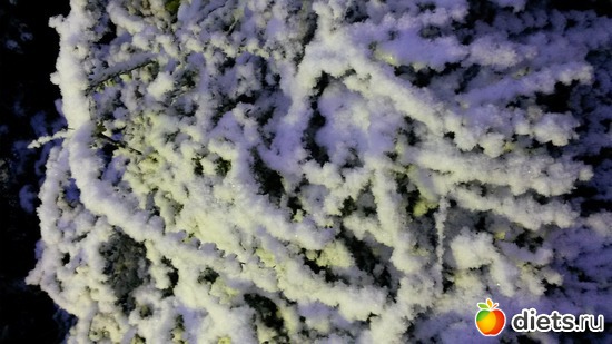 Снежные наряды