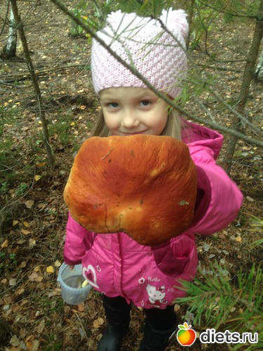 Вот это я понимаю грибочек