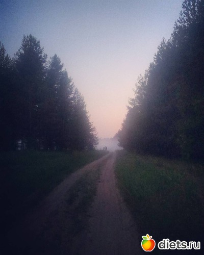 Тайна лесной чащи