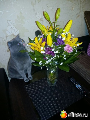 На вид красивый букт, попробую на вкус