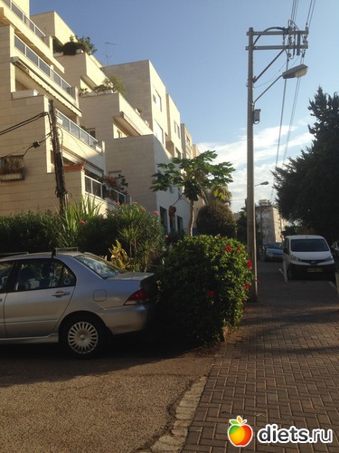 26 ����: ����� ������