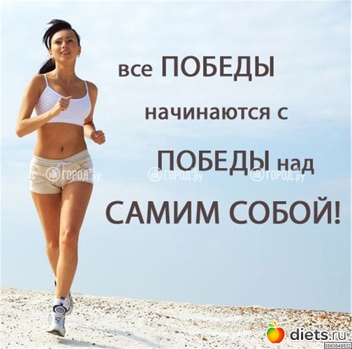 13 ����: ���������