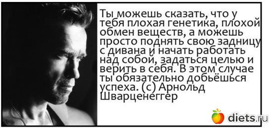 15 ����: ���������