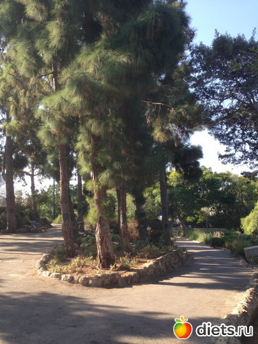 30 ����: ����� ������