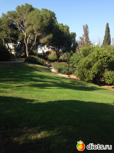 35 ����: ����� ������