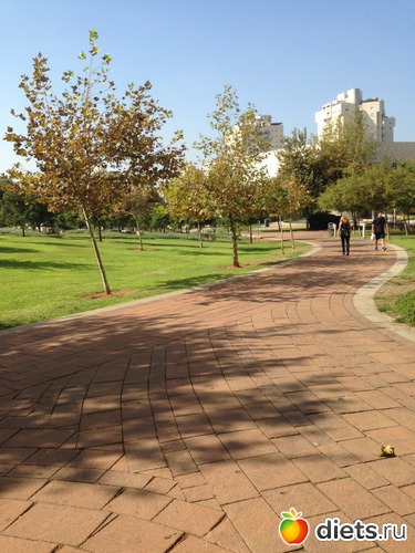 37 ����: ����� ������