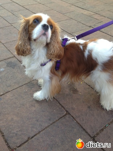 38 ����: ����� ������