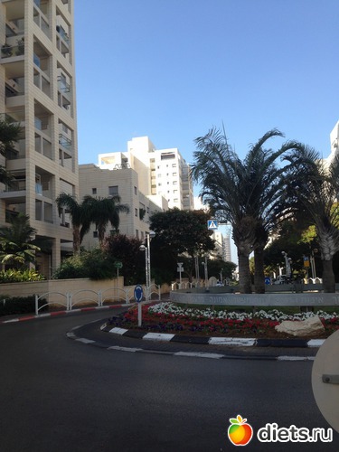 39 ����: ����� ������