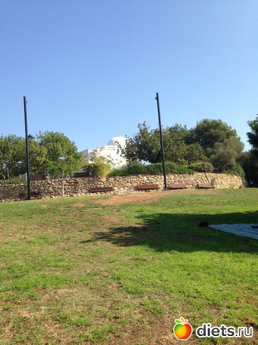 40 ����: ����� ������