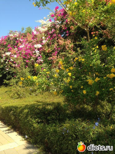 41 ����: ����� ������