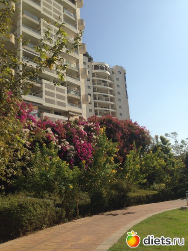 42 ����: ����� ������