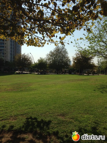 43 ����: ����� ������