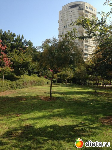 44 ����: ����� ������