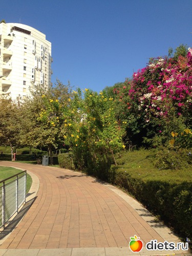 45 ����: ����� ������