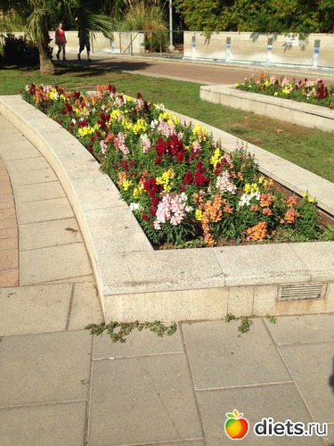 49 ����: ����� ������