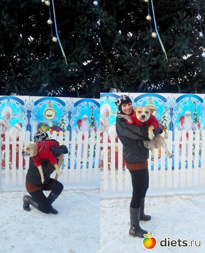 3 ����: 2016