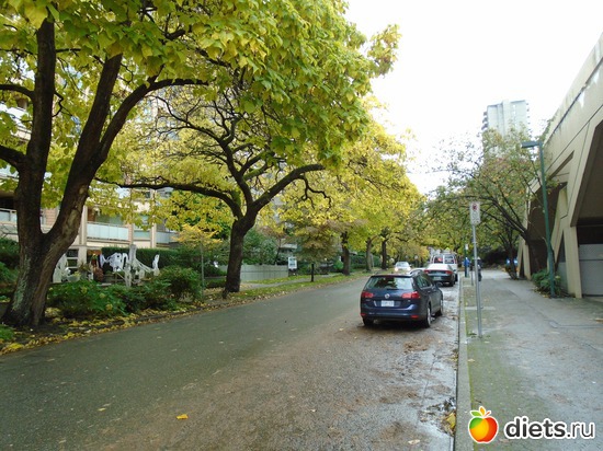 32 фото: На краю Канады (Ванкувер)