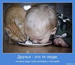 Прошу у вас разрешения