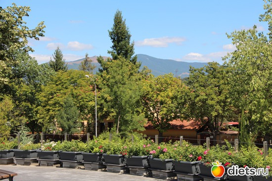 1 ����: ��������. ��������.