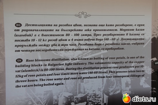 8 ����: ��������. ��������.