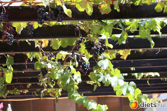 14 ����: ��������. ��������.