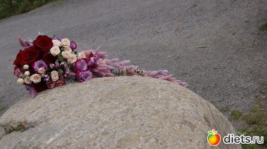 24 ����: �������� � ����������